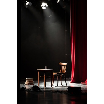 Professional theaters